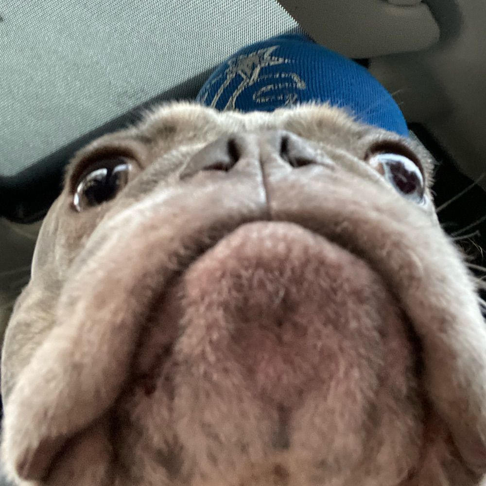 Tim