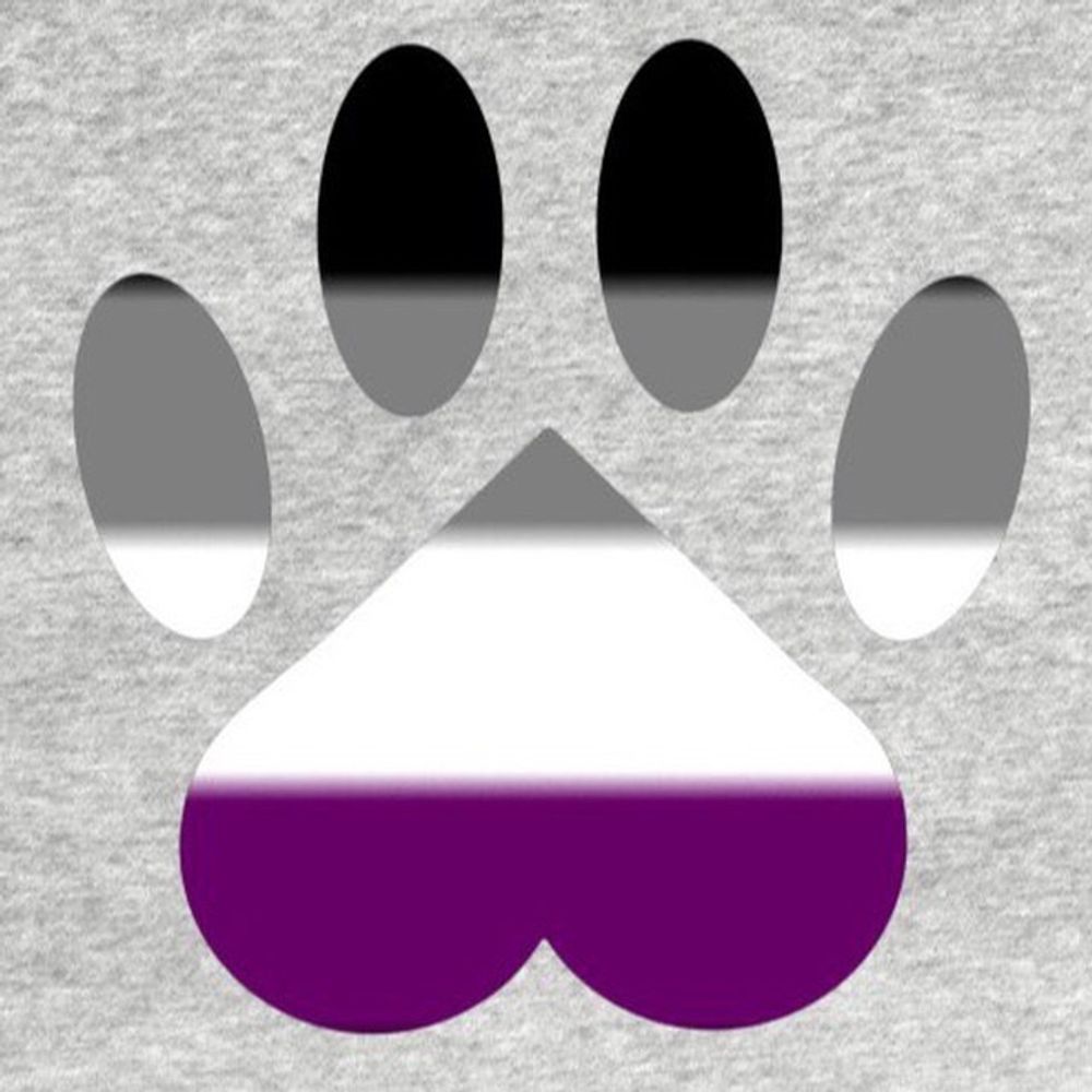 Asexual Spec Furries ♠️