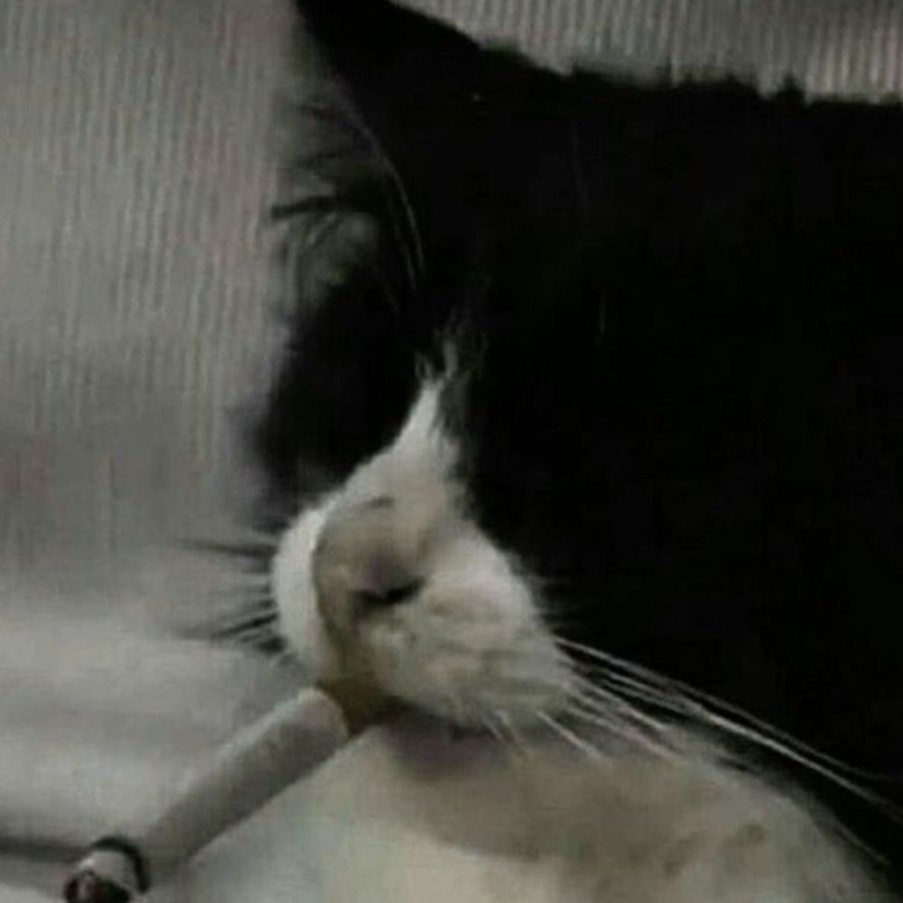 UwUKrs