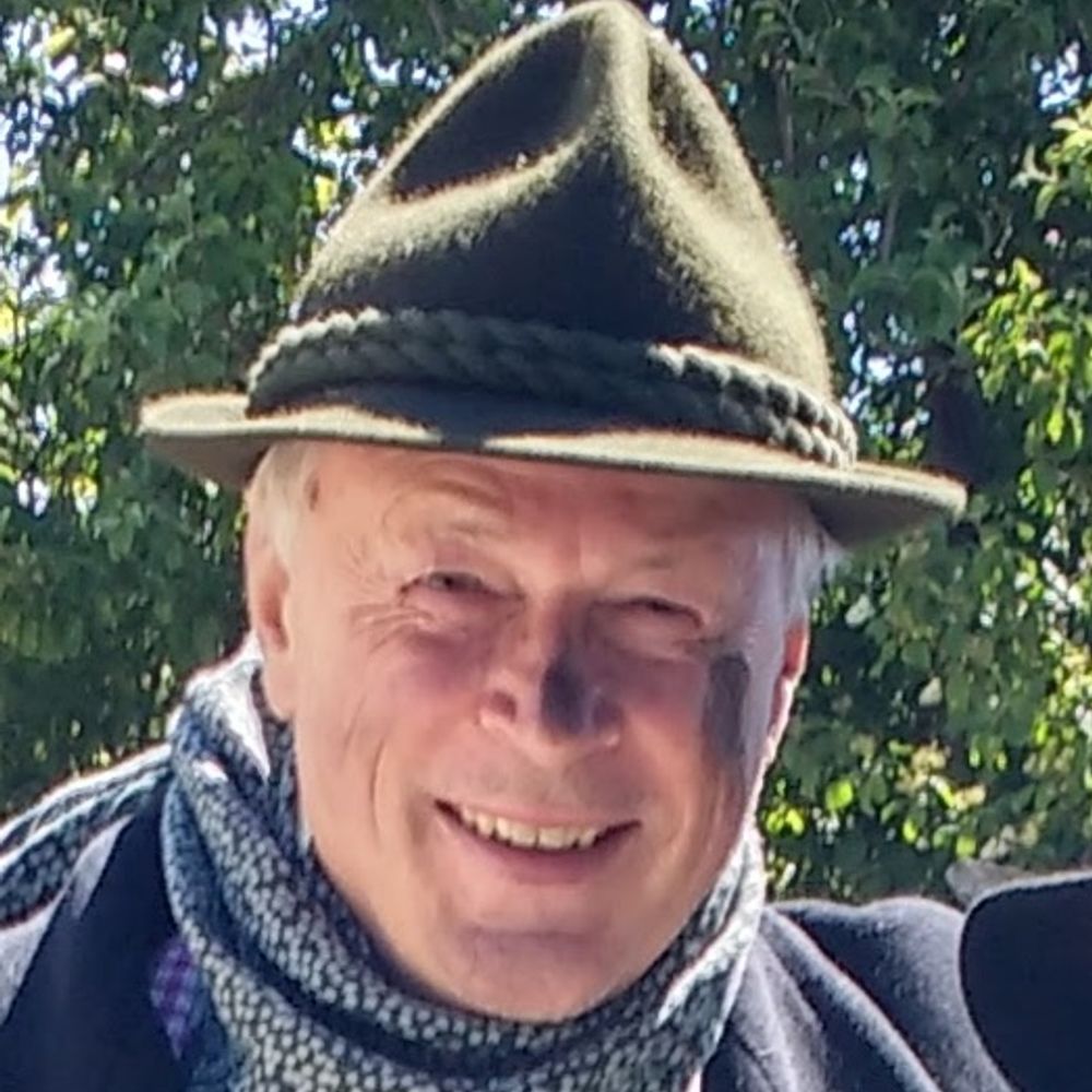 Merlin der Weis(s)e