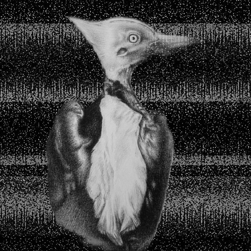 Pecker
