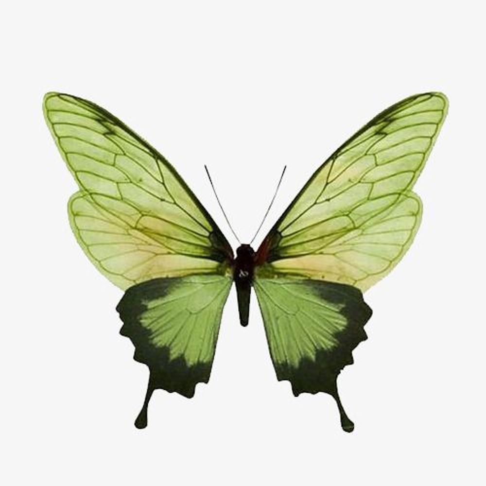 eniphki