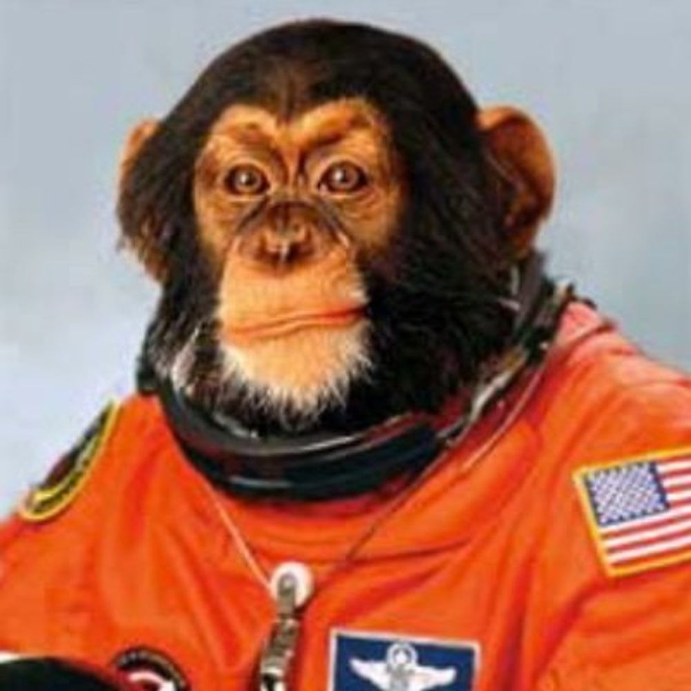 Space Sapien