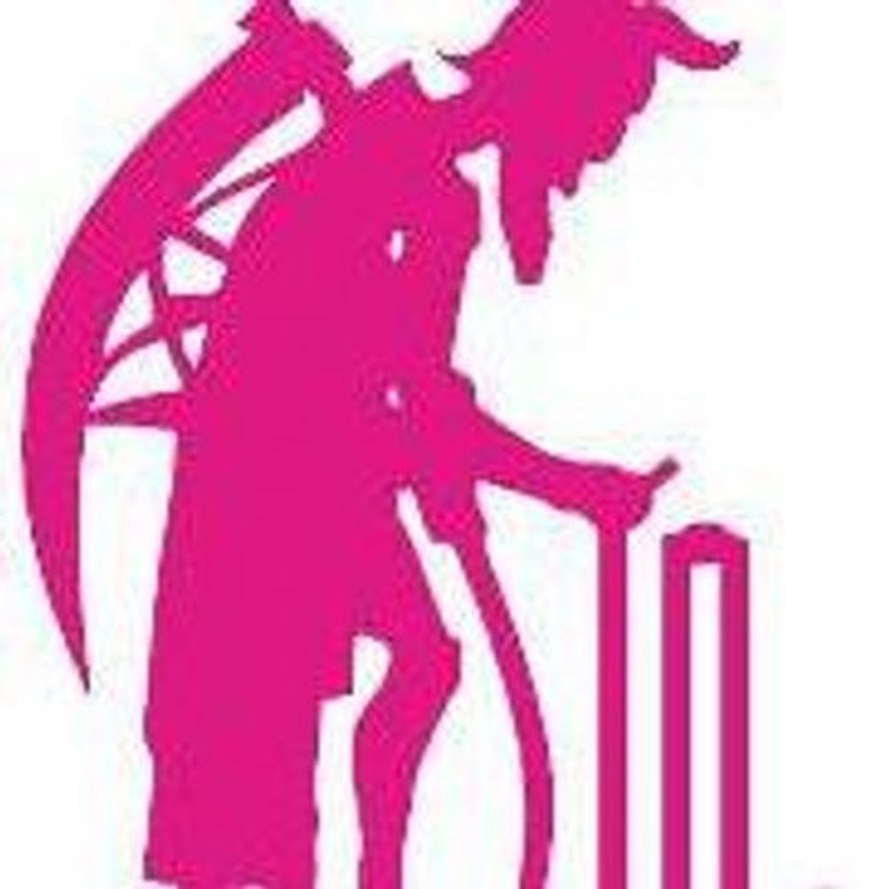 The Cricket Society