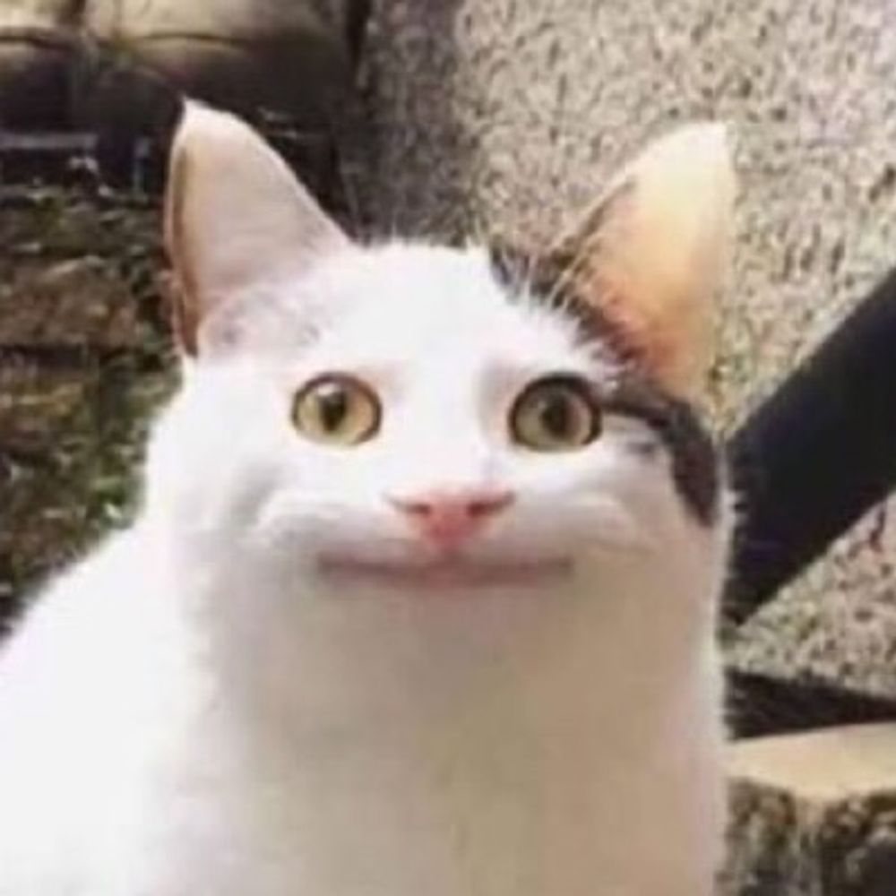ｹﾐｶﾙﾊｯﾋﾟｰ