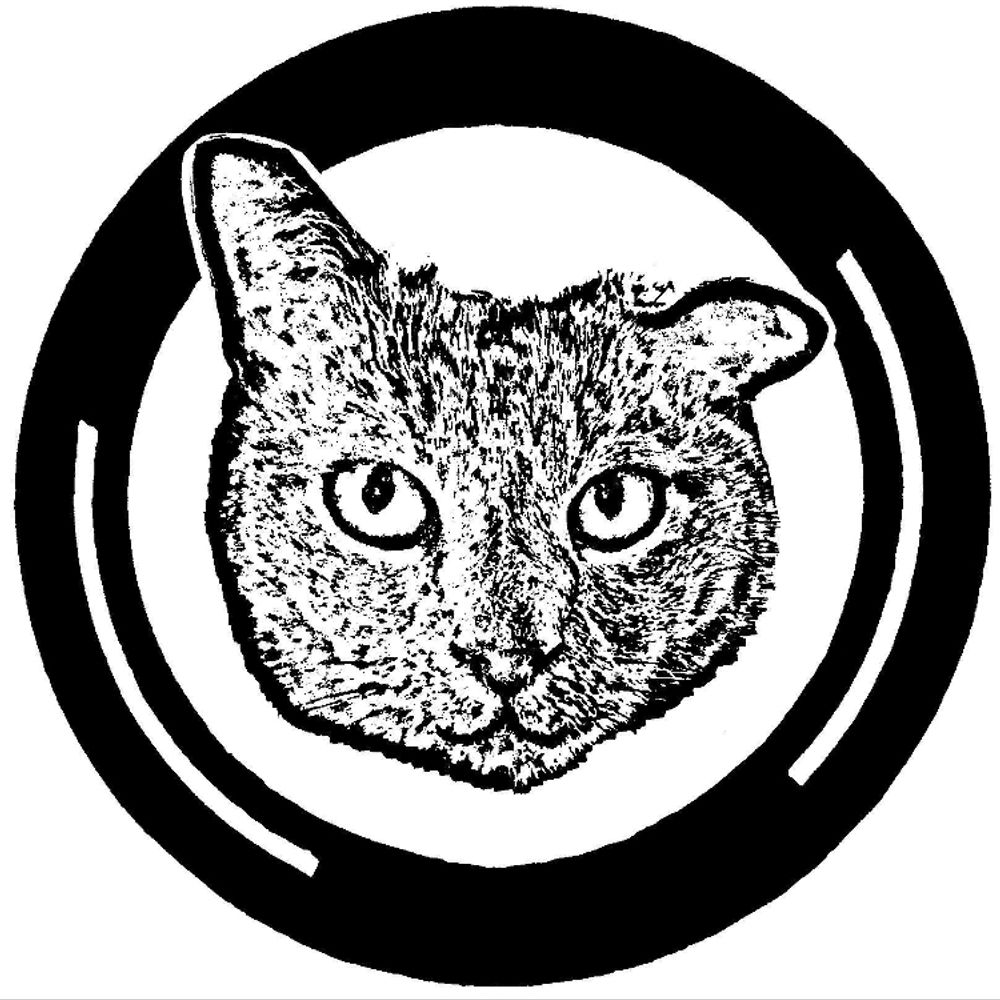 Scrappy Cat, a curious retrospective extravaganza