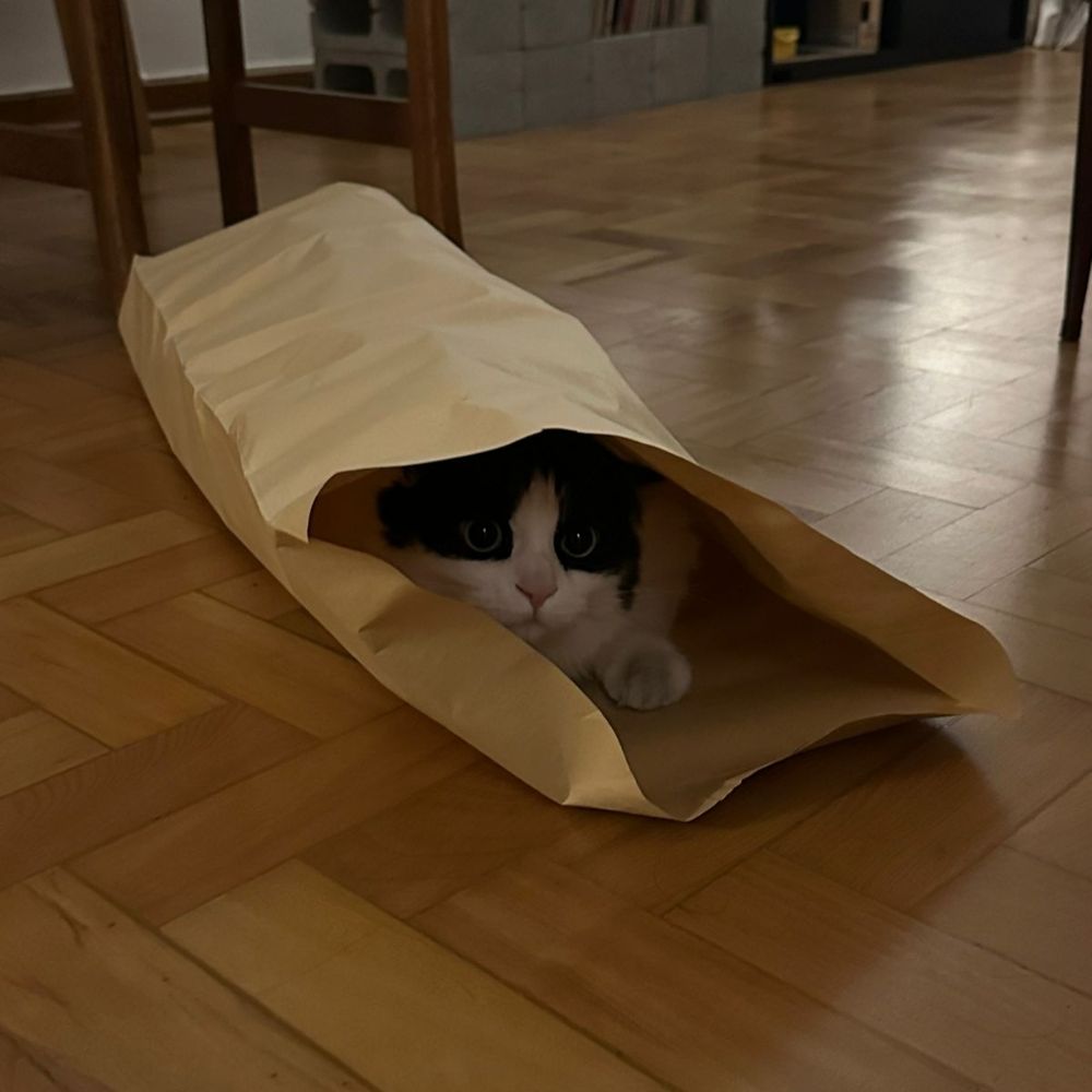 pedro
