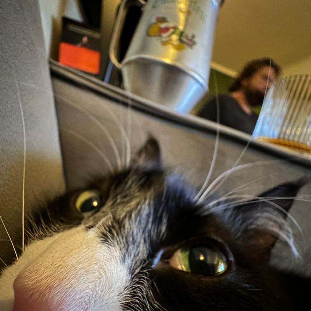pedro