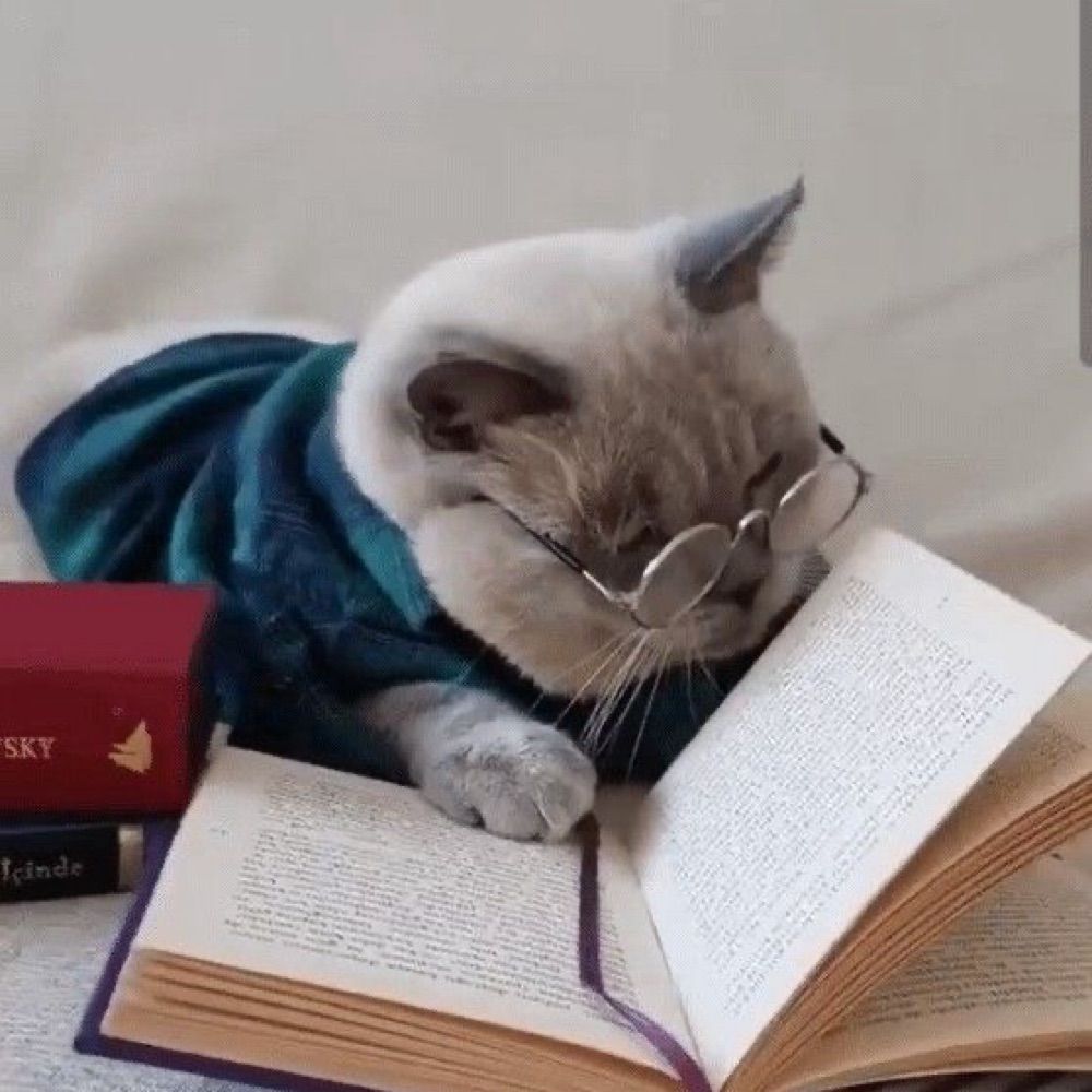 princesinha leitora  📖