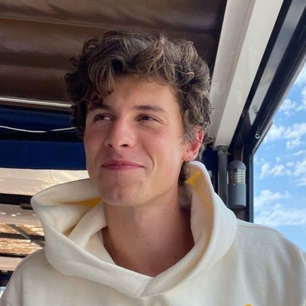 Shawn Mendes Zueira 