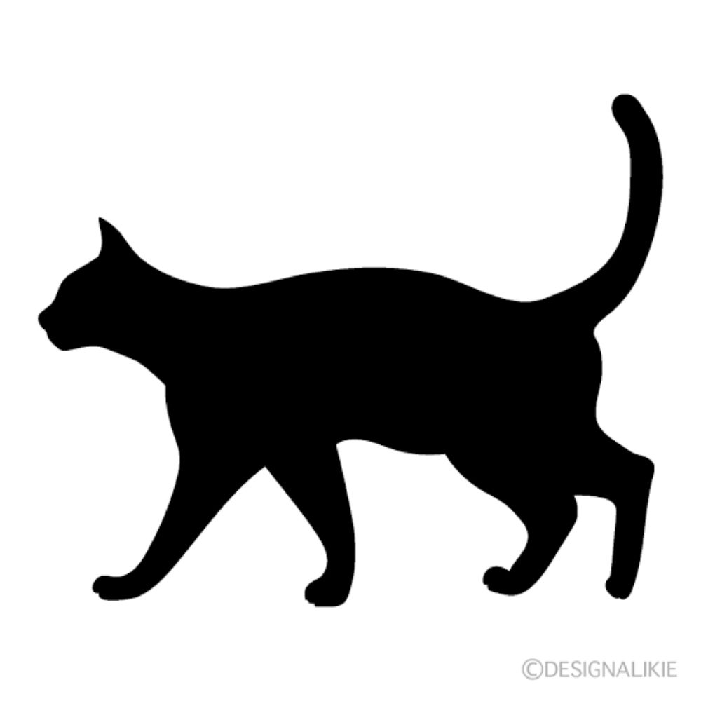 マタタビ丸😺