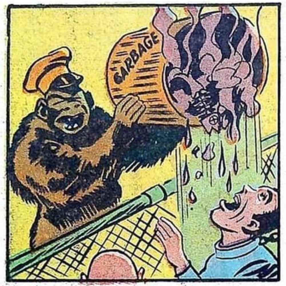 waterjunk