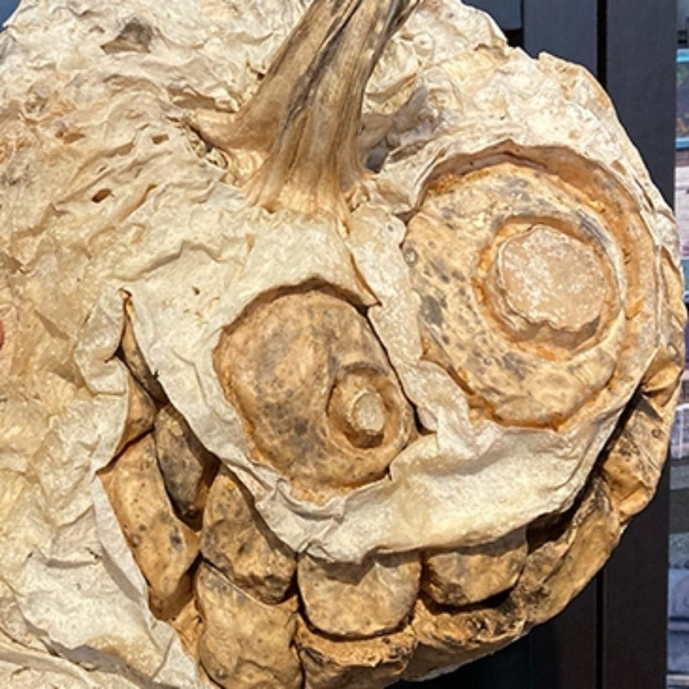 Big Angry Rock