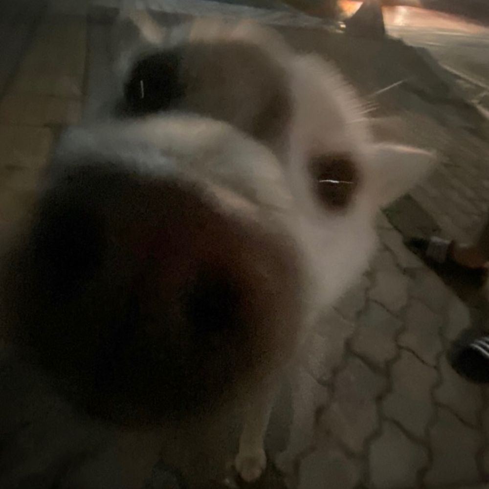 산희