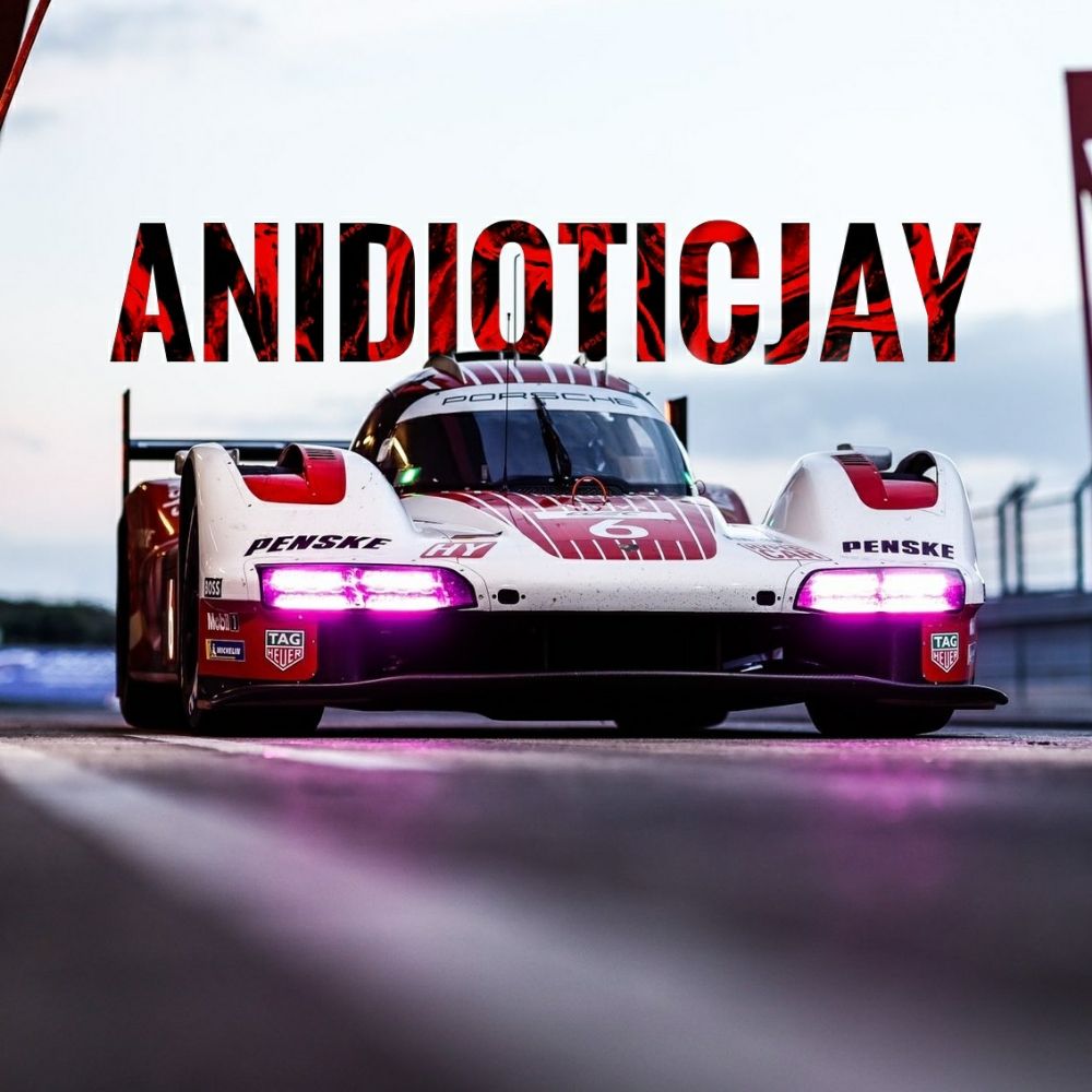 AnIdioticJay 