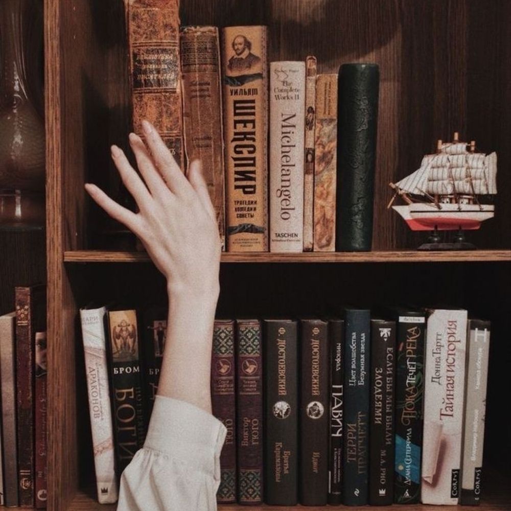 BibClara 📖✨️