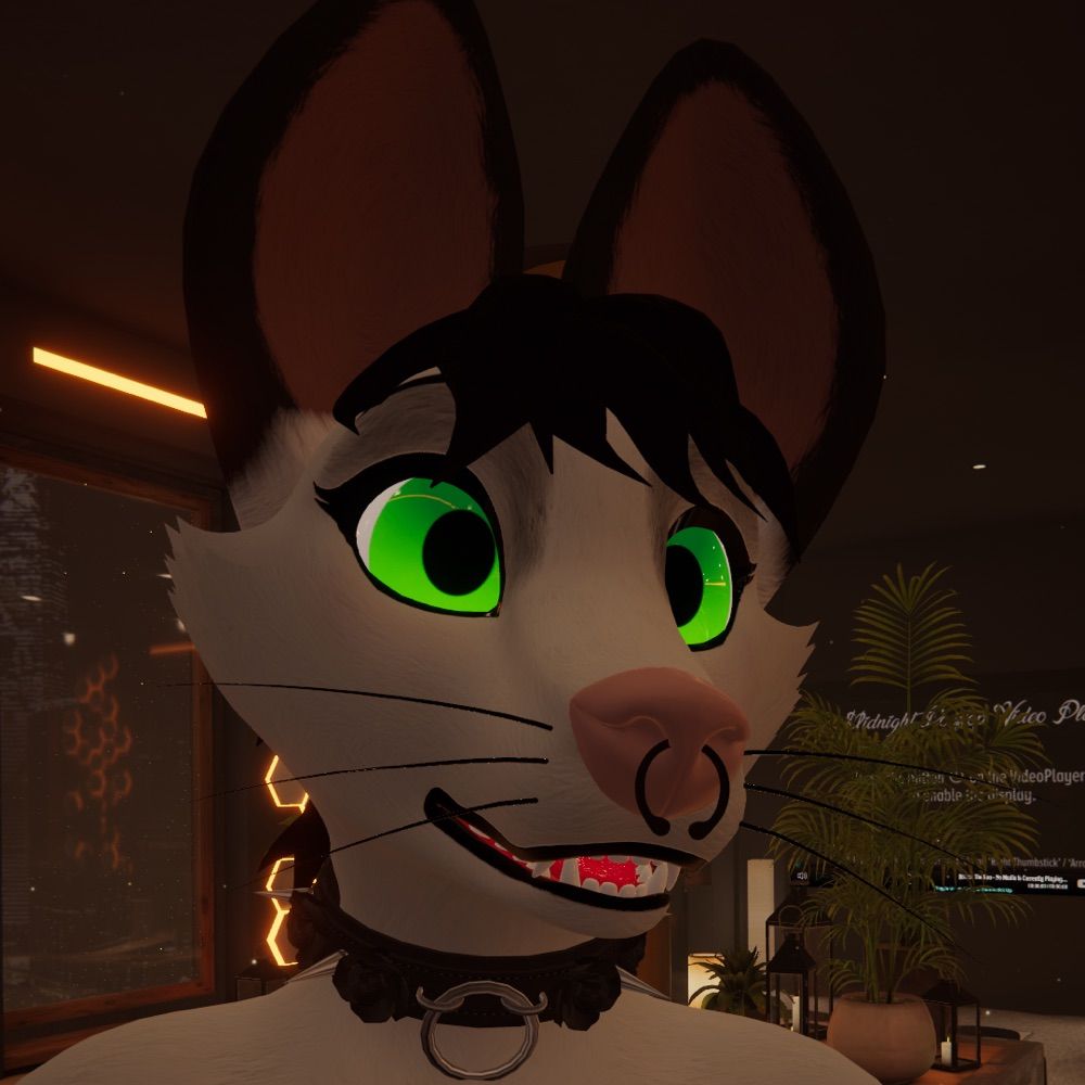 Clover Possum