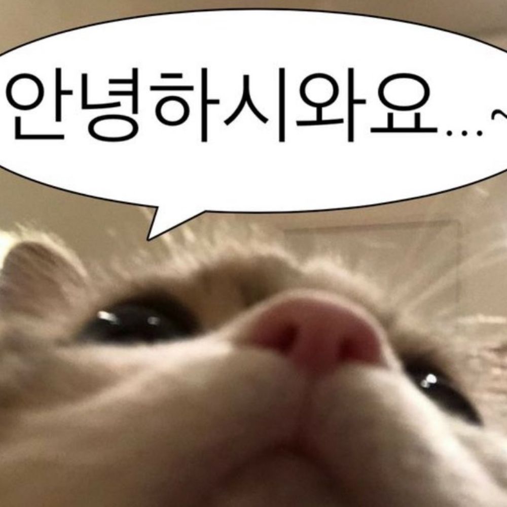버기