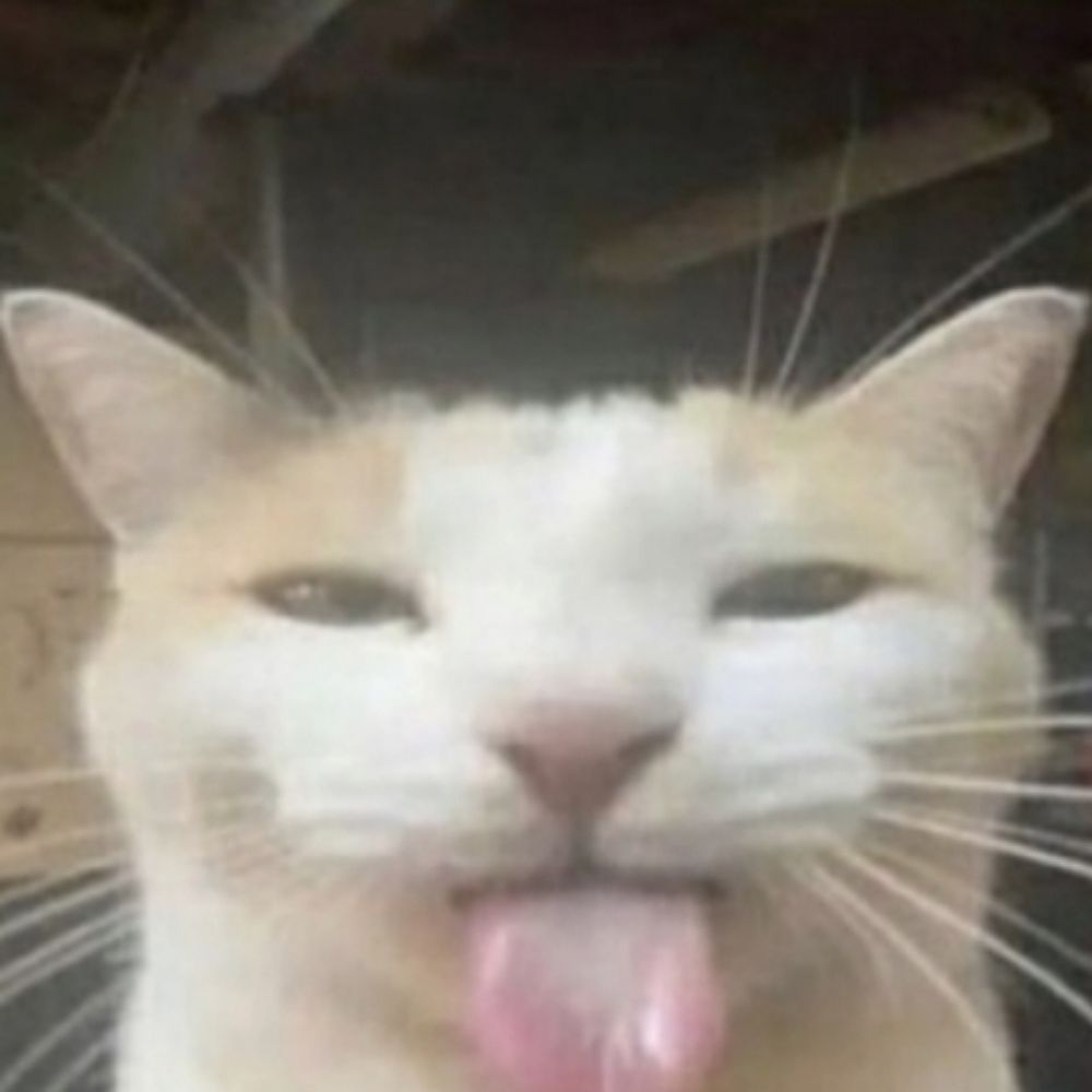 Ojojocaca