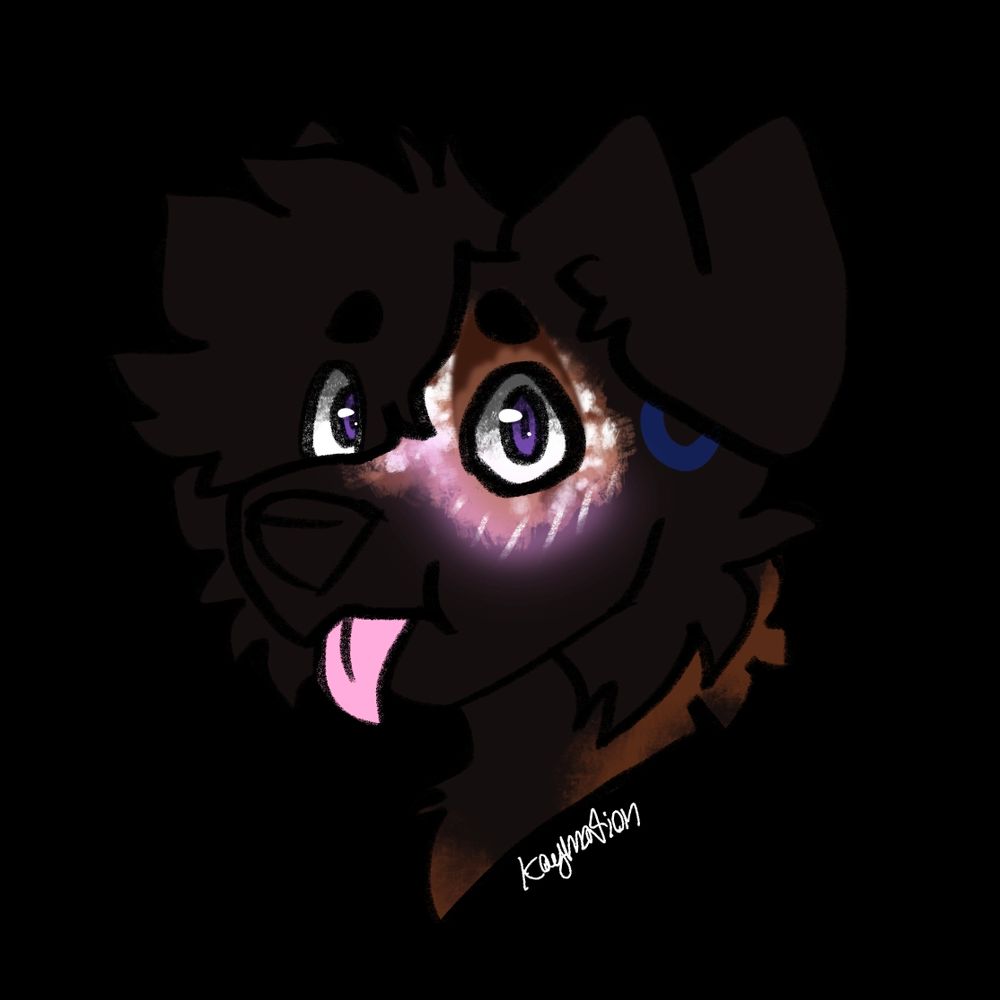 Ari