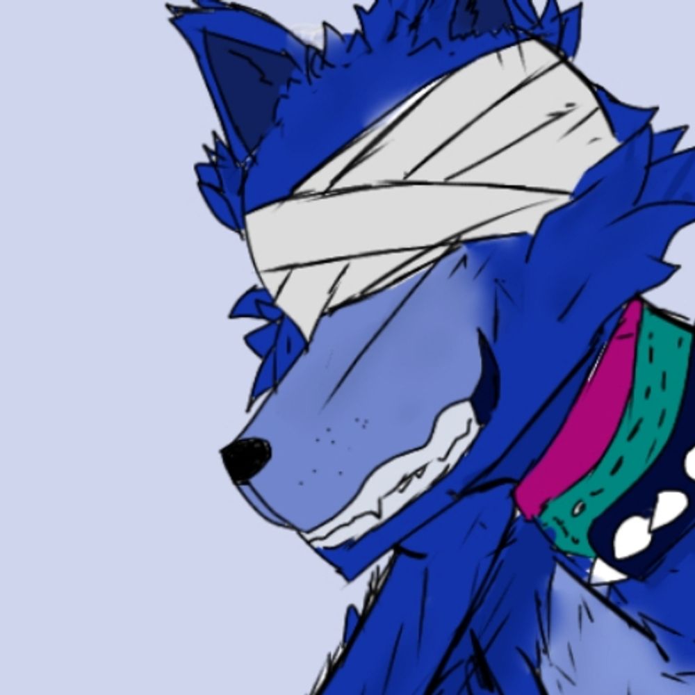 This.bluesky.fox