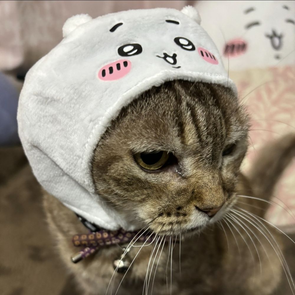 そらぼっち