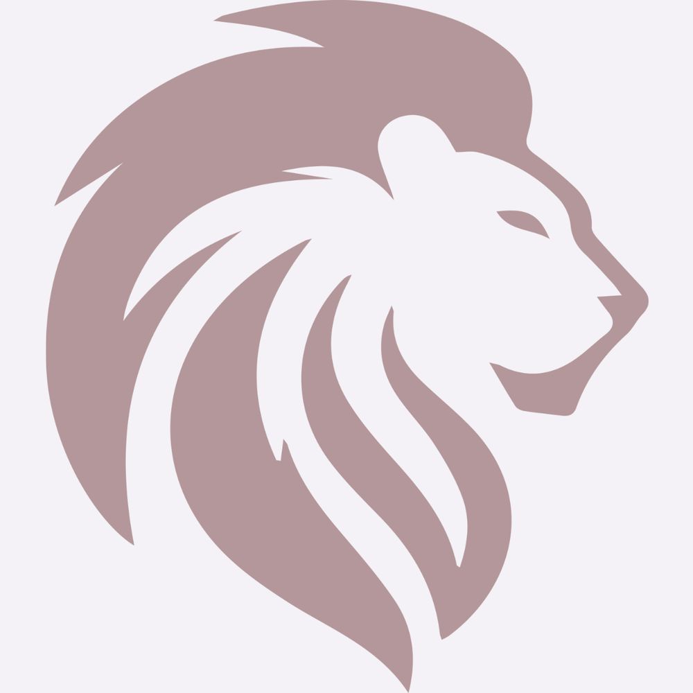 Little Roar Studio