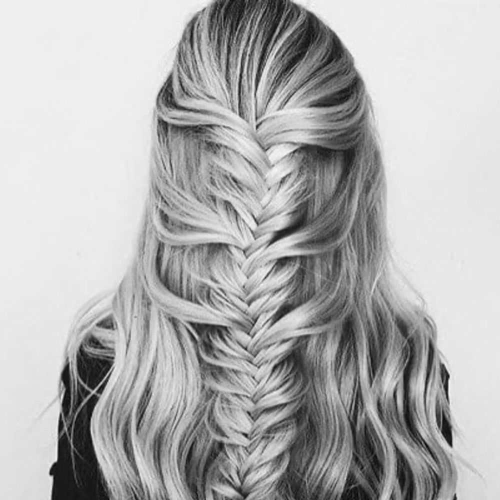 Grey Maven