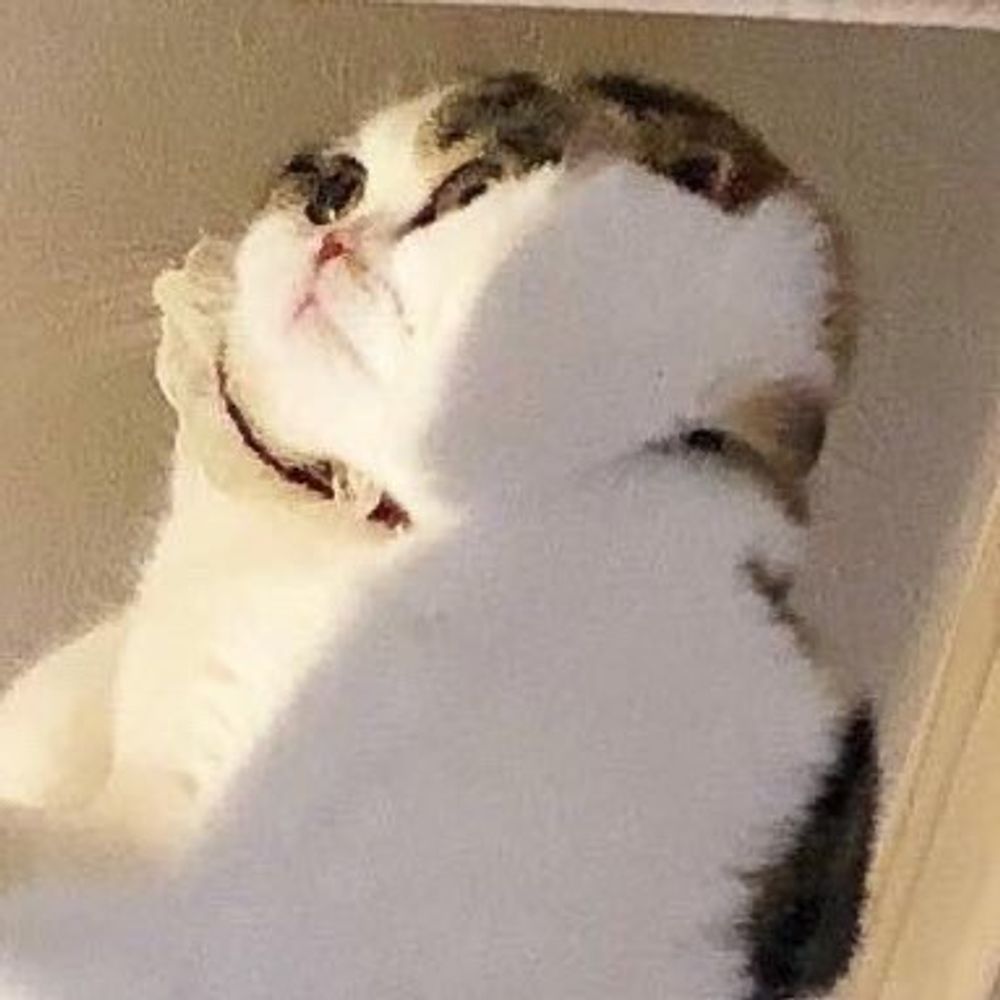 luiz 