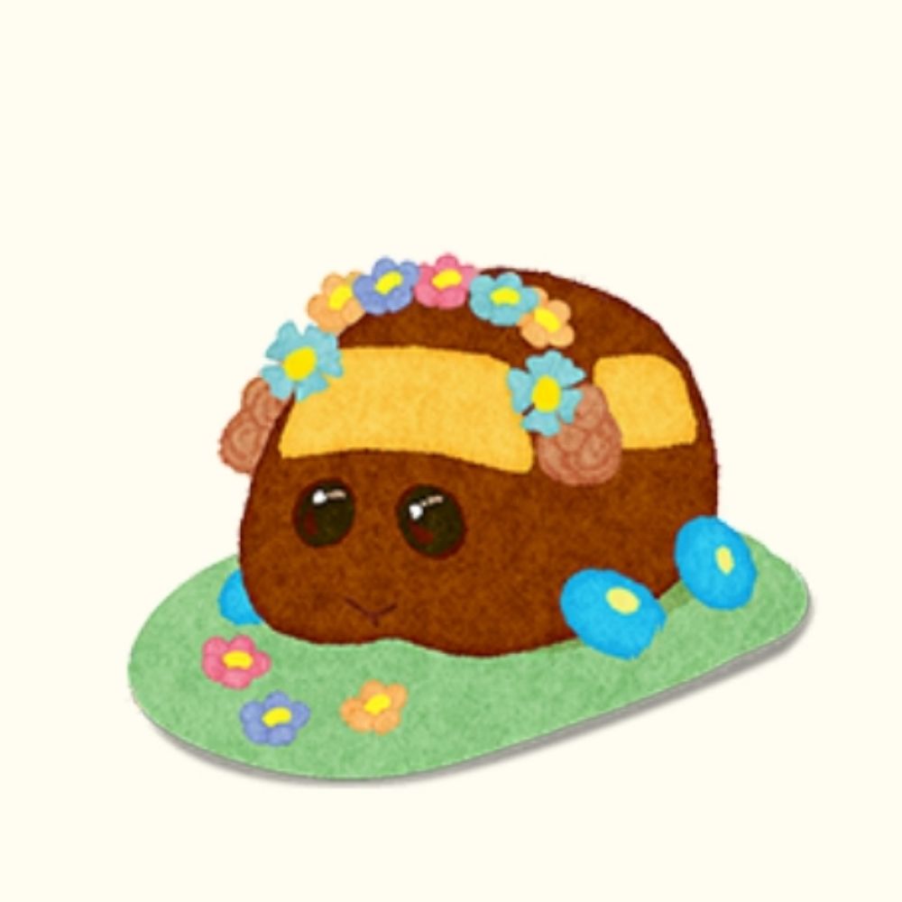 歩未🐹