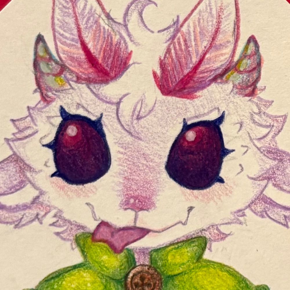 •.𖦹Fae 𐦍ೃ࿔•