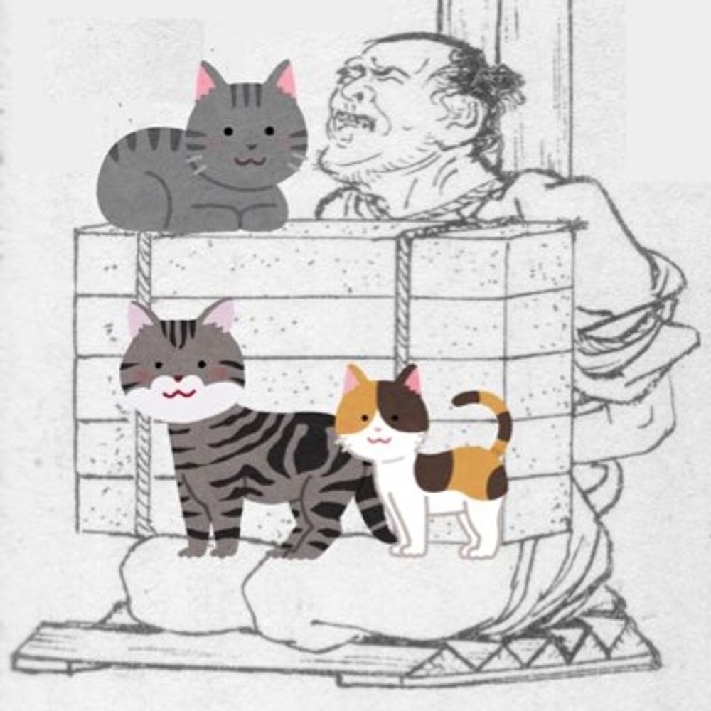 ちこ
