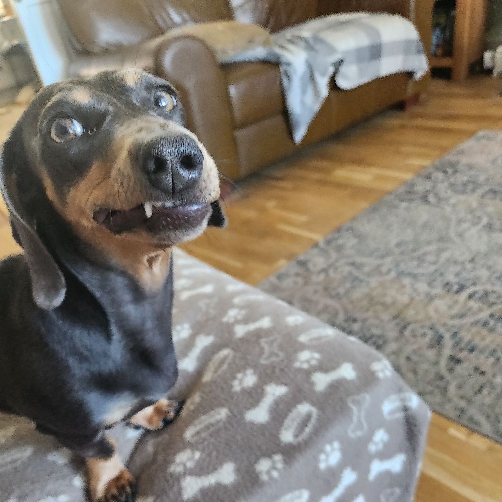 Chloe