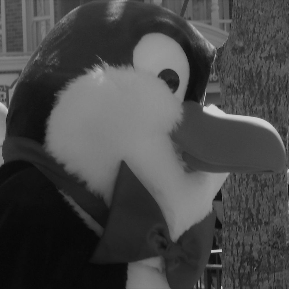 pinguinow.bsky.social