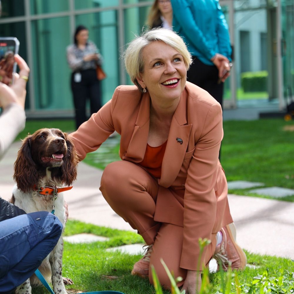Tanya Plibersek