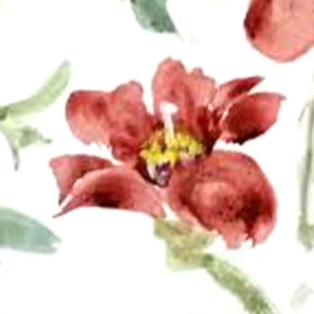 Jehanne Bell