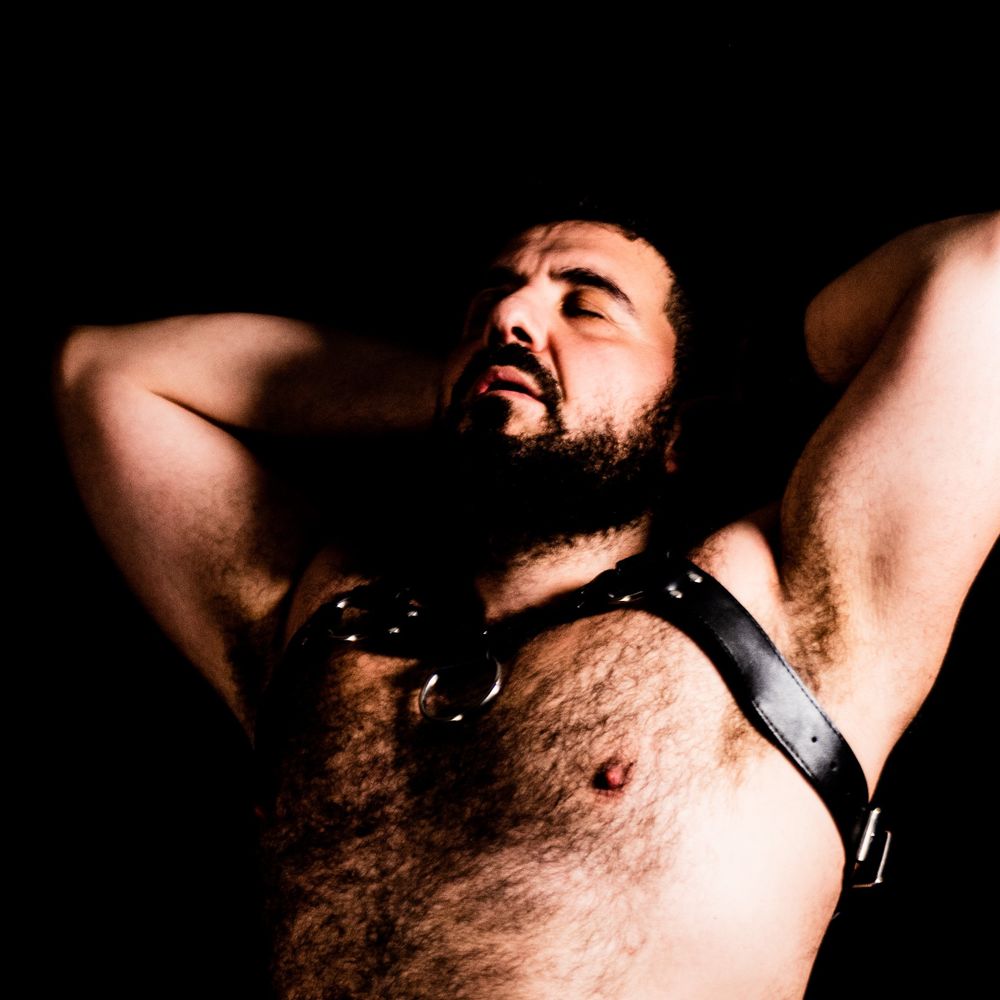 Ulysses The Bear