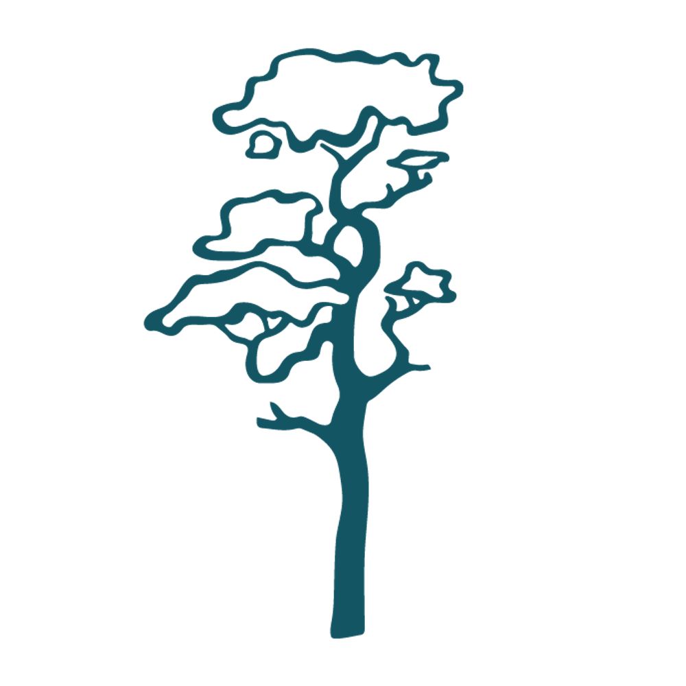 Dundreggan Rewilding Centre