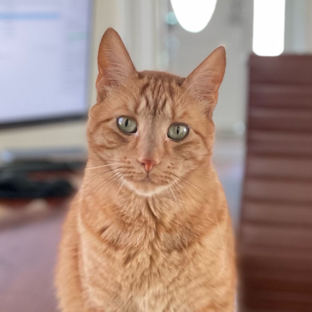 Charlie