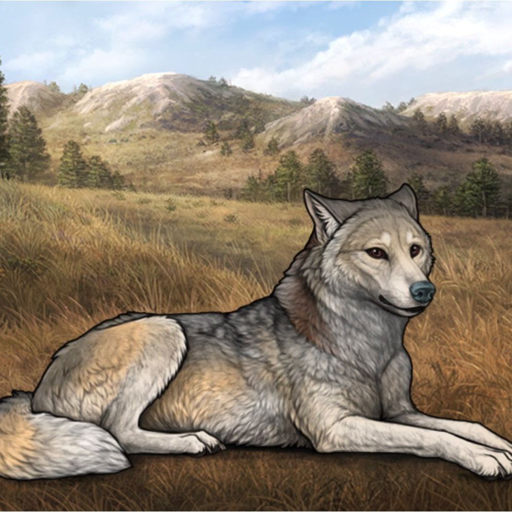 Wolvden