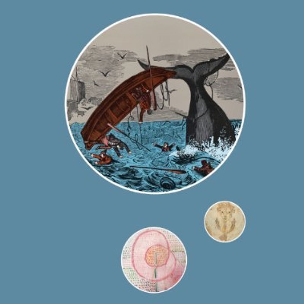 Rupture