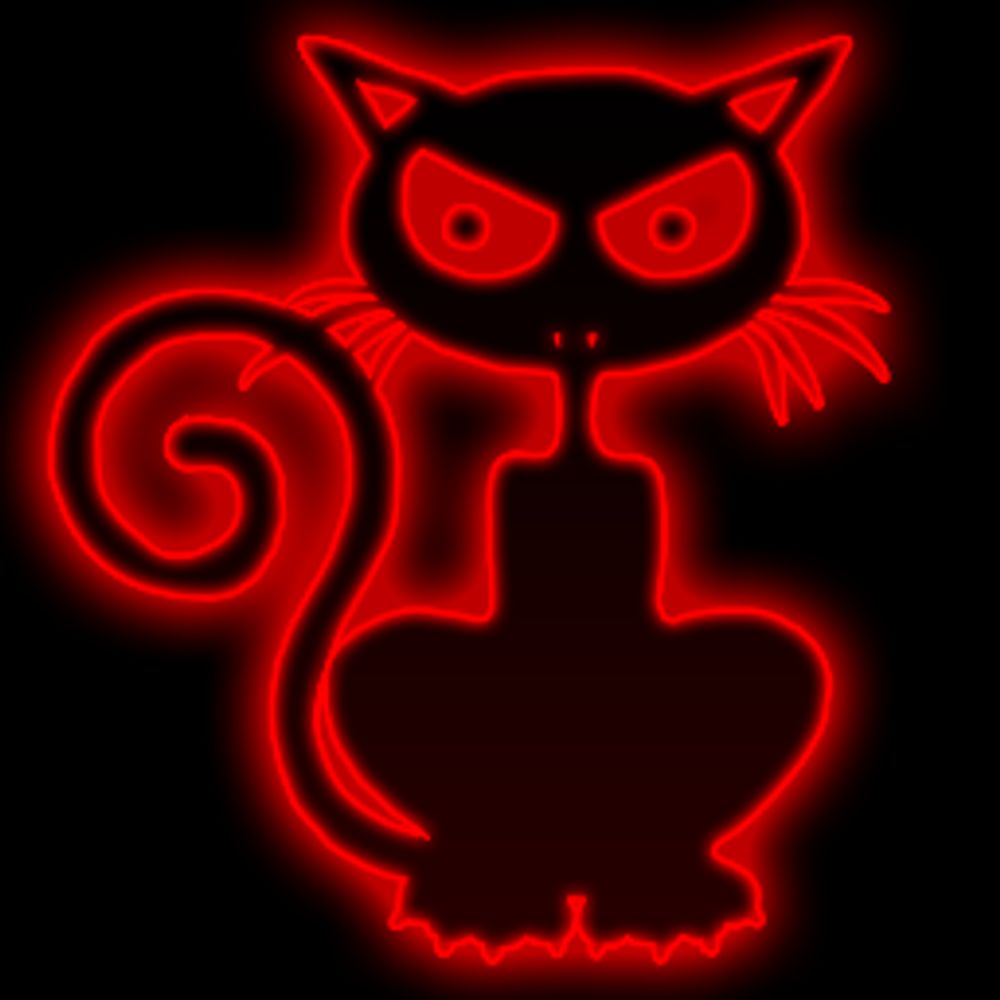 Angry Cat Studios