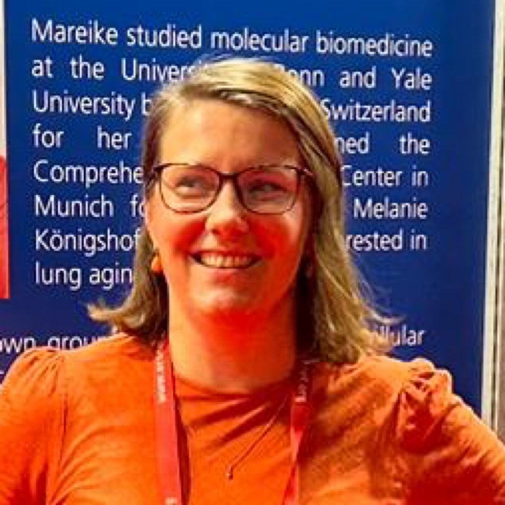 Mareike Lehmann