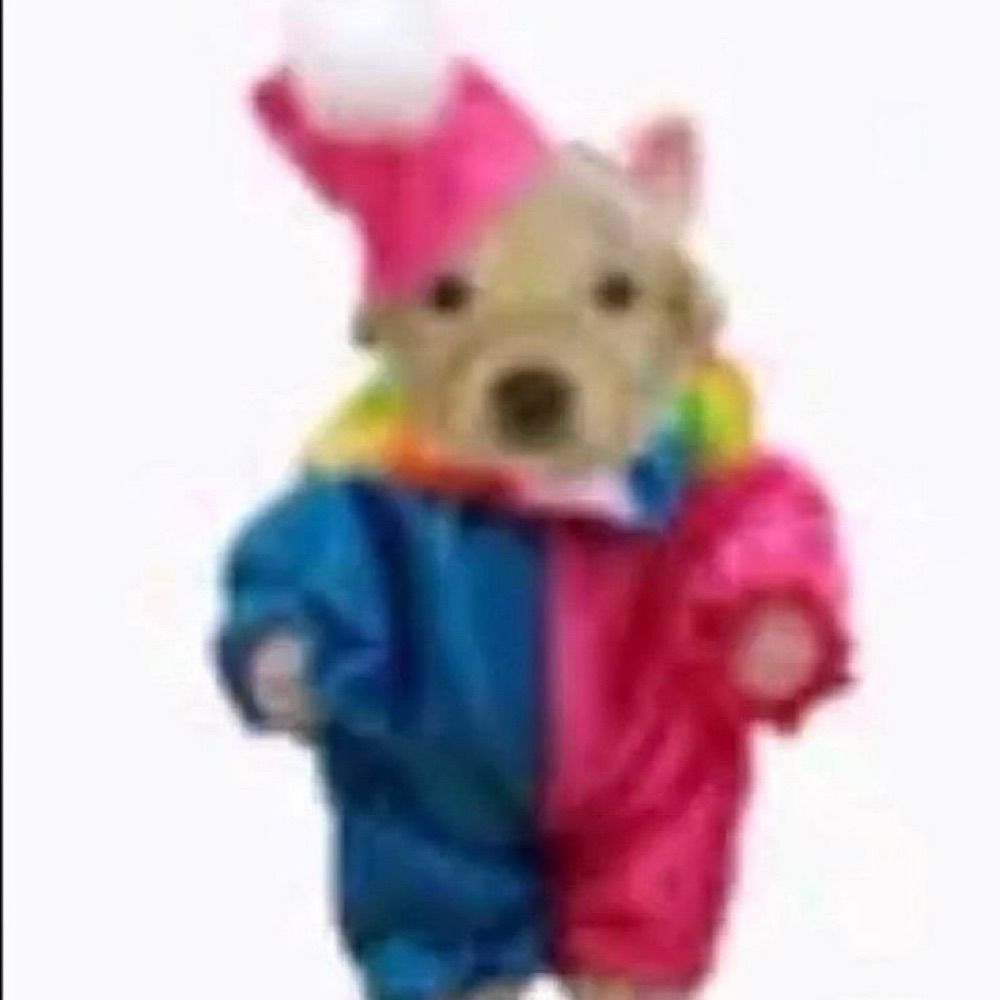 Giiiii
