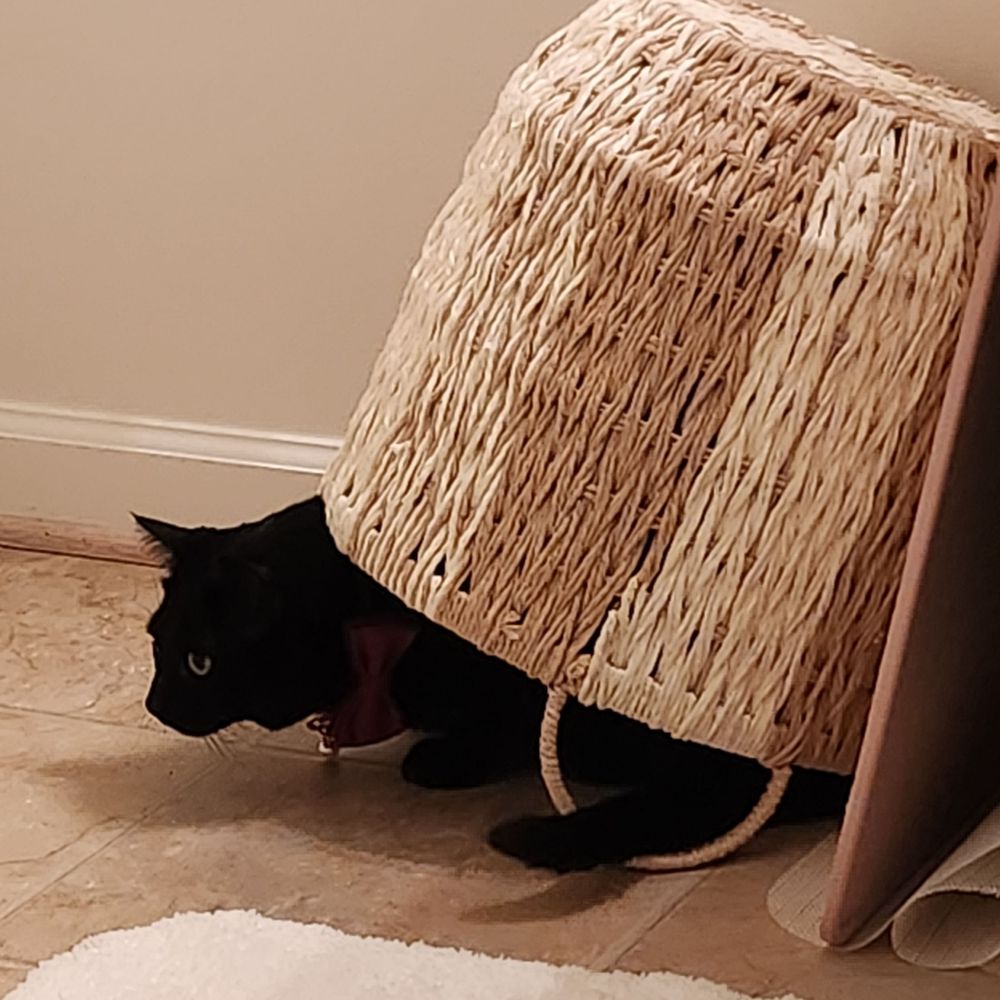 Curiouser