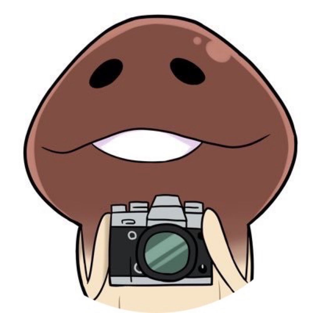 🍄またじさん🍄