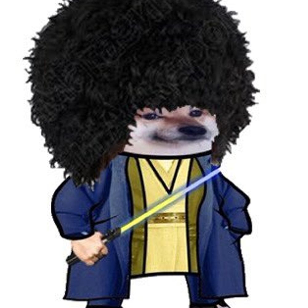 Nociafella 
