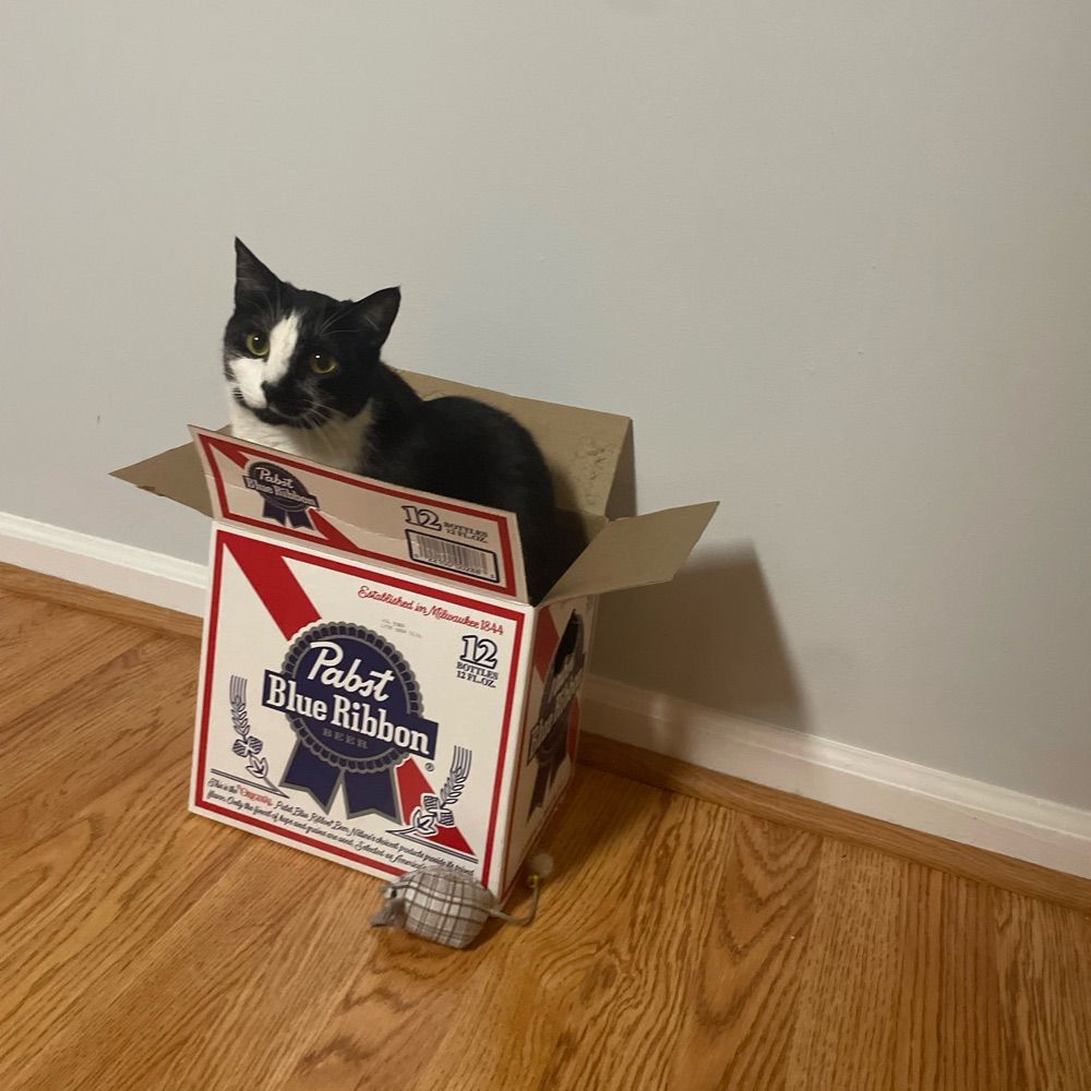 Cannoli