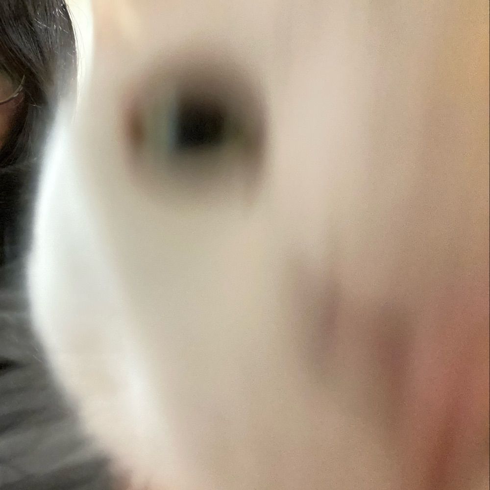 まるたす
