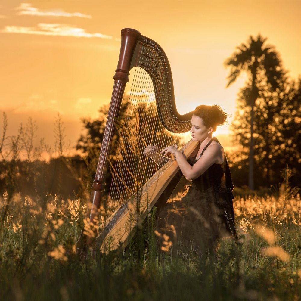 Mad Harpist